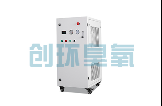 嘉定工厂化养鲈必看：2026年臭氧发生器替代传统消毒的最新方案
