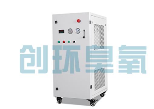 嘉定石斑鱼养殖水质调控完整指南：臭氧发生器配置与操作步骤