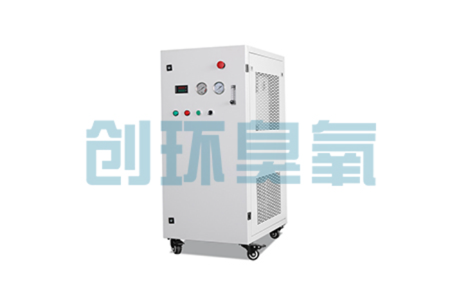 嘉定比传统换水更高效？臭氧发生器在石斑鱼养殖中的水质净化原理解析