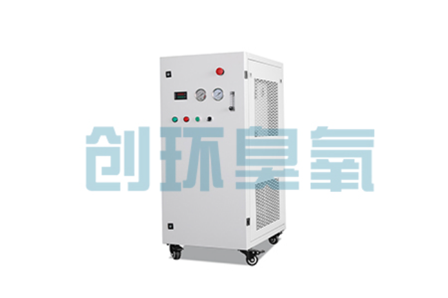 嘉定比传统换水更高效？臭氧发生器在石斑鱼养殖中的水质净化原理解析